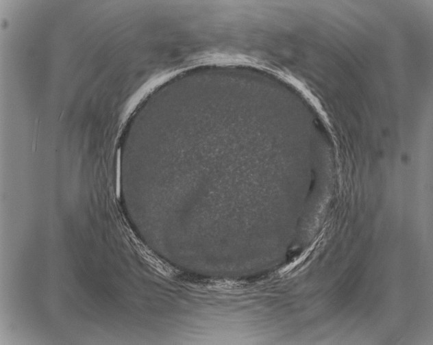 X0000087671175200705181657