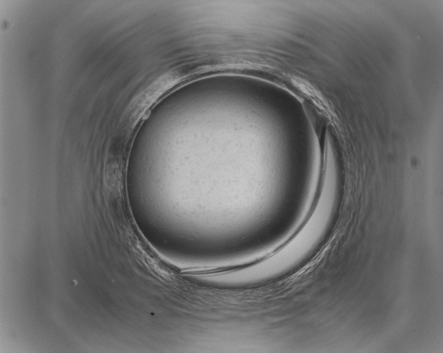 X0000087671177200705181657