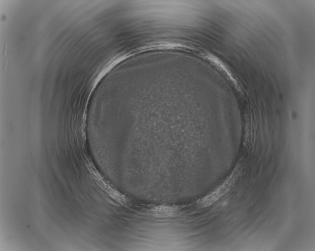 X0000087671178200705181657