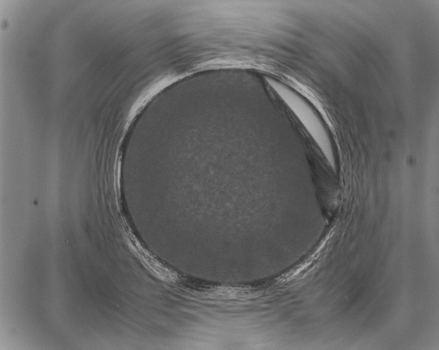 X0000087671179200705181657