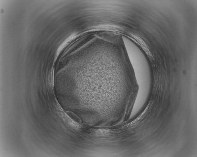 X0000087671180200705181657