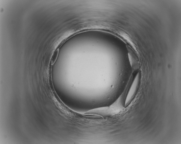 X0000087671181200705181657