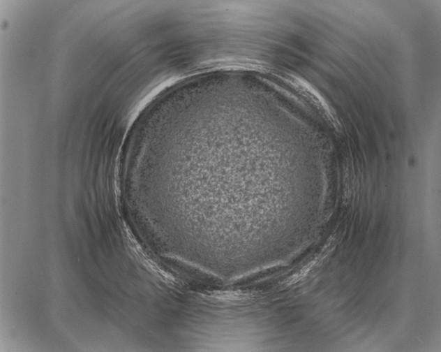 X0000087671182200705181657