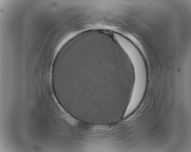 X0000087671183200705181657