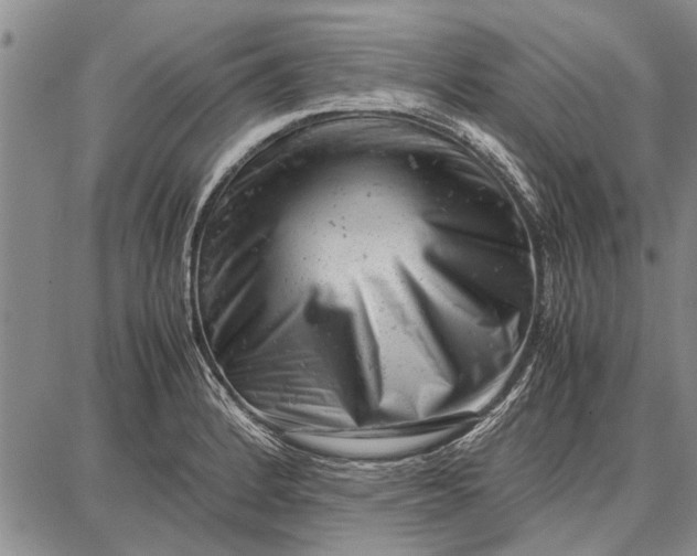 X0000087671184200705181657