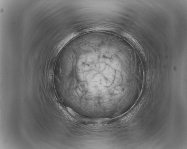 X0000087671185200705181657