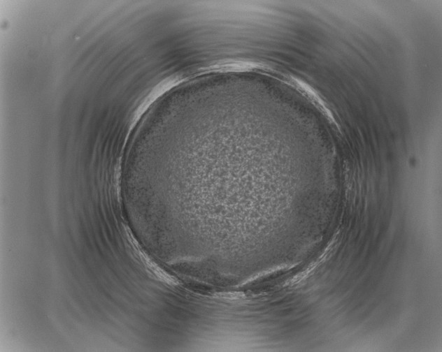 X0000087671186200705181657