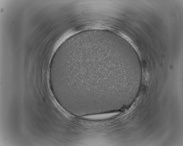 X0000087671187200705181657