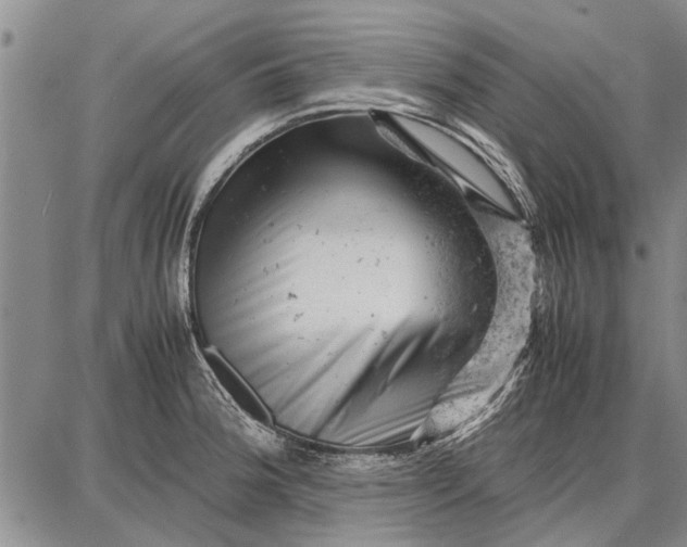 X0000087671188200705181657