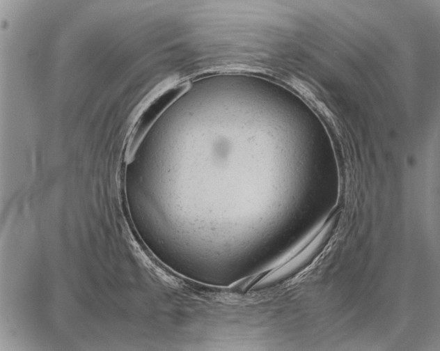 X0000087671189200705181657