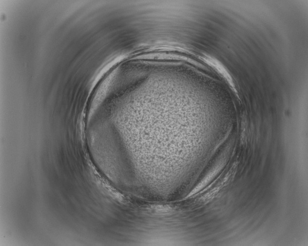 X0000087671190200705181657