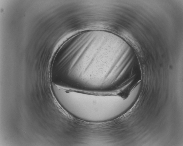 X0000087671192200705181657