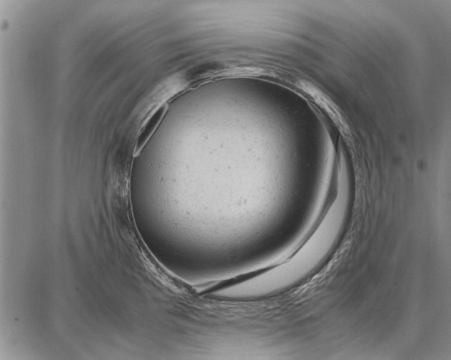 X0000087671193200705181657