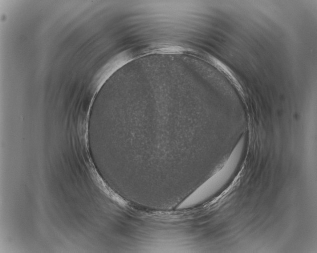 X0000087671194200705181657