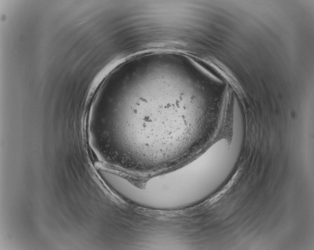 X0000087671196200705181657