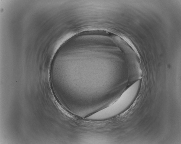 X0000087671197200705181657