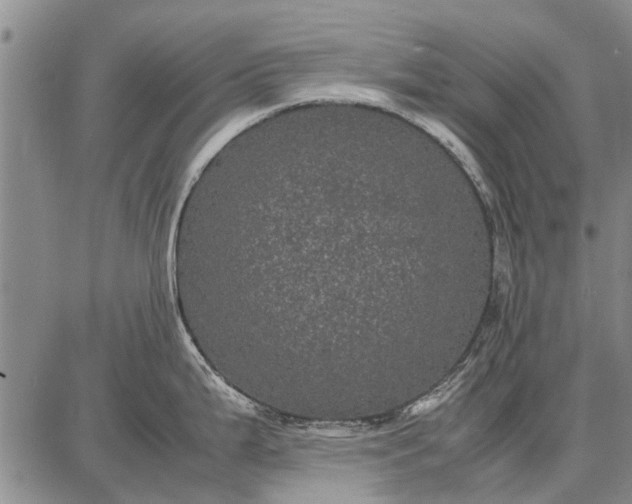 X0000087671199200705181657