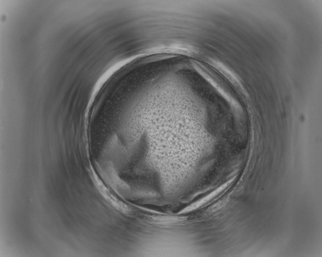 X0000087671200200705181657