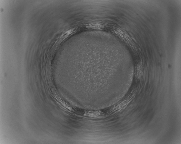 X0000087671201200705181656