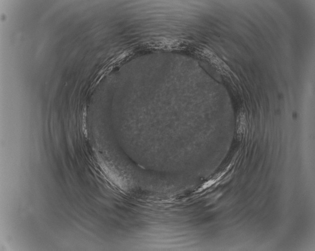 X0000087671202200705181656