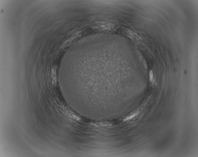 X0000087671203200705181656