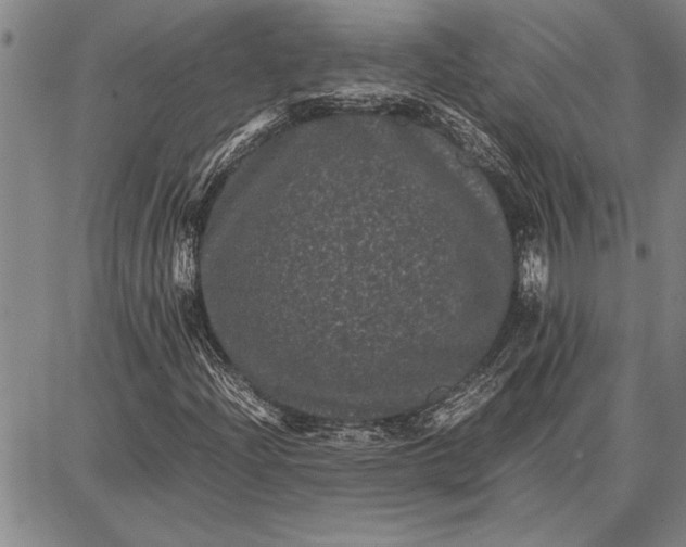 X0000087671204200705181656