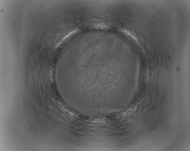 X0000087671205200705181656