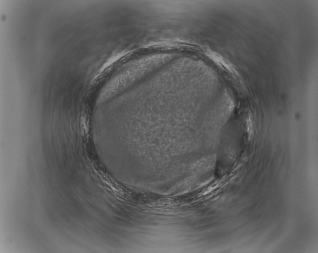 X0000087671206200705181656