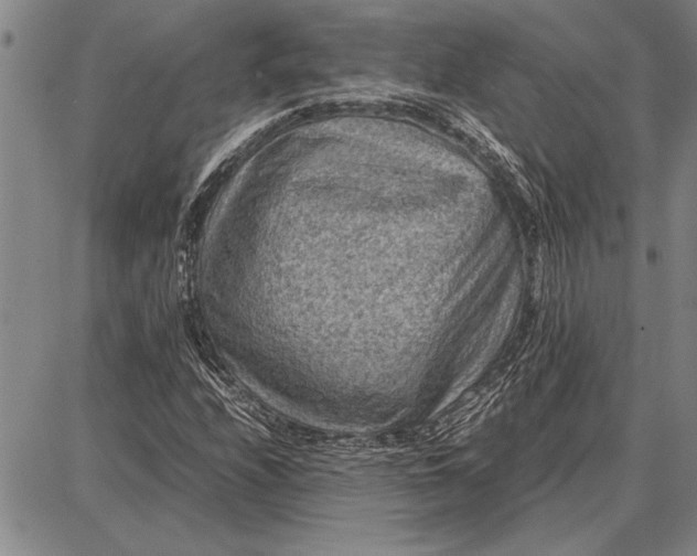 X0000087671208200705181656