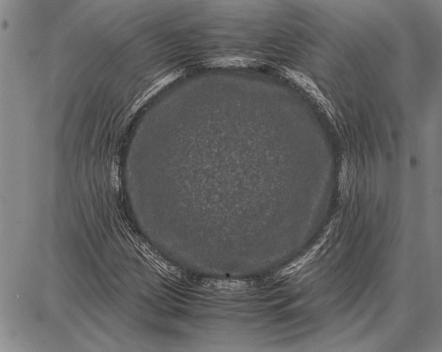 X0000087671209200705181656