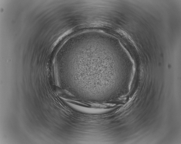 X0000087671210200705181656