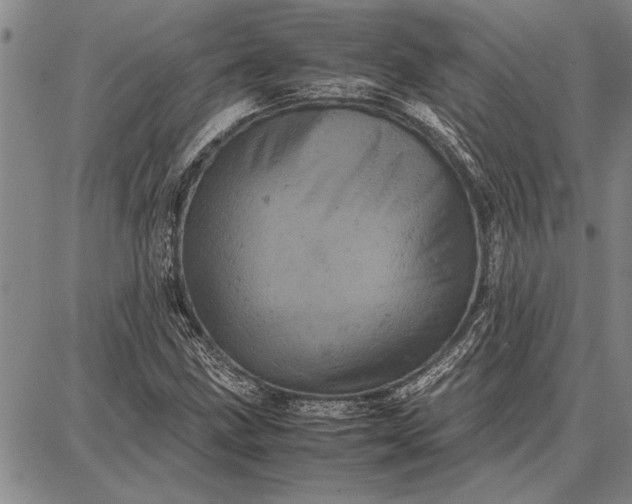 X0000087671211200705181656