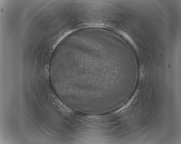 X0000087671212200705181656