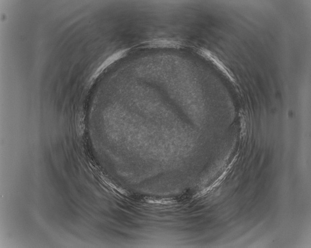 X0000087671213200705181656