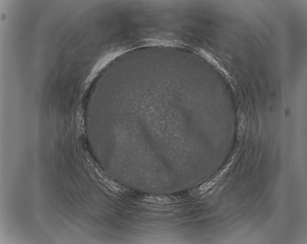 X0000087671215200705181656