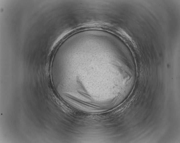 X0000087671216200705181656