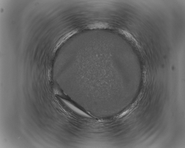 X0000087671217200705181656