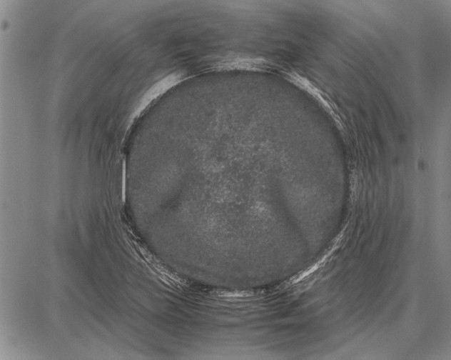 X0000087671219200705181656