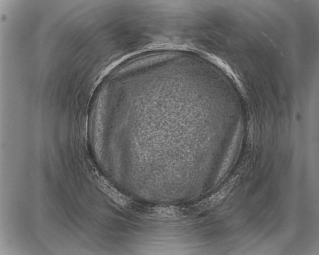 X0000087671220200705181656