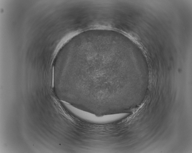 X0000087671223200705181656