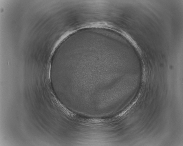 X0000087671224200705181656