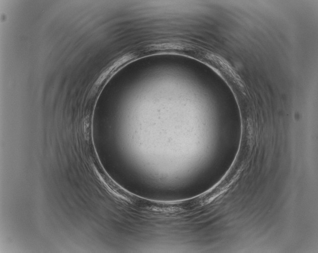 X0000087671225200705181656