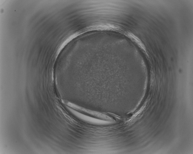 X0000087671226200705181656