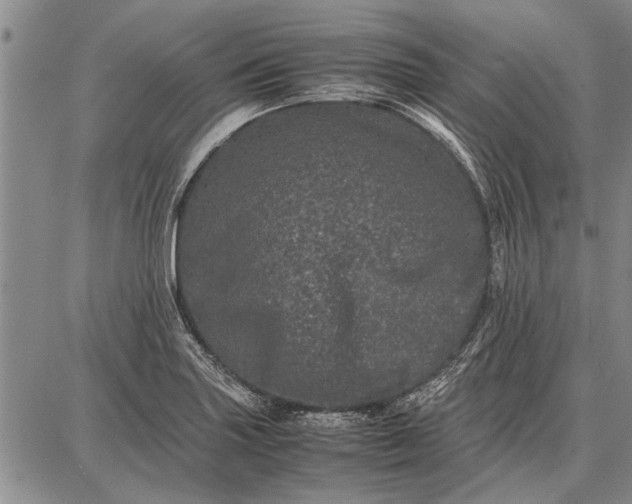 X0000087671227200705181656