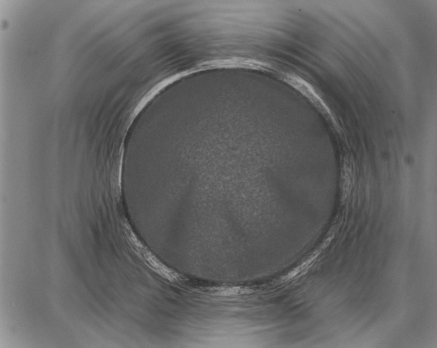 X0000087671228200705181656