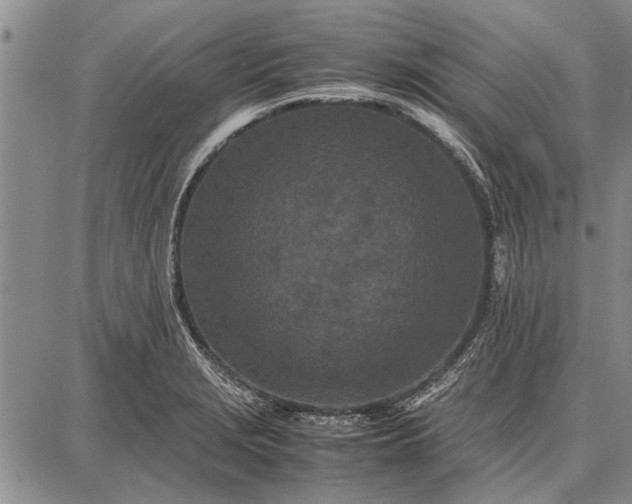 X0000087671229200705181656