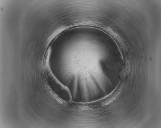 X0000087671230200705181656