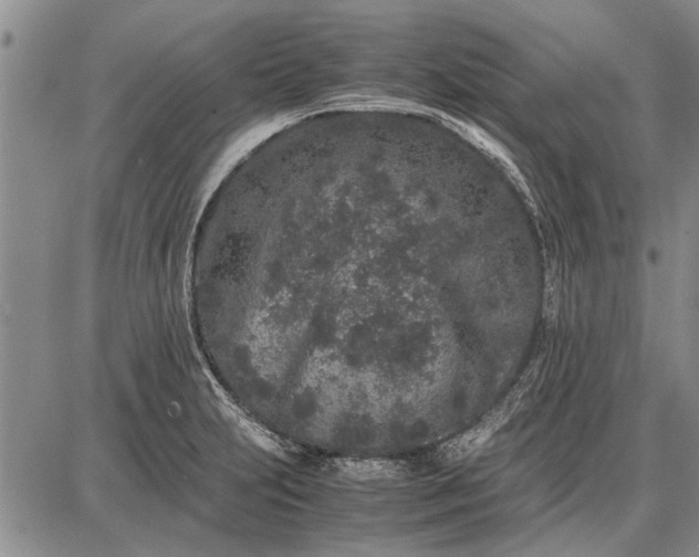 X0000087671231200705181656