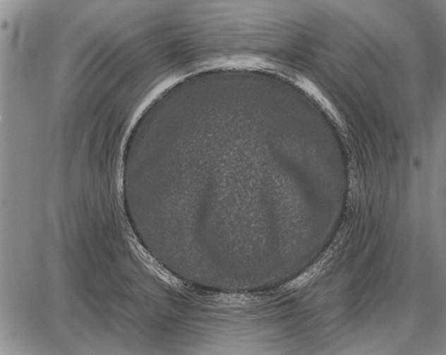 X0000087671232200705181656