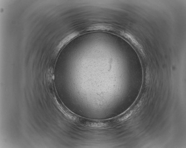 X0000087671233200705181656